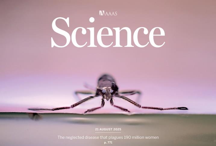 기계 고제성 교수팀, 소금쟁이과 곤충 움직임 메커니즘 밝혀 '초소형 로봇' 제작